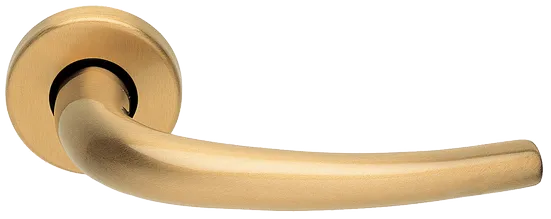 LILLA R3-E OSA, ручка дверная, цвет - матовое золото фото купить Уральск
